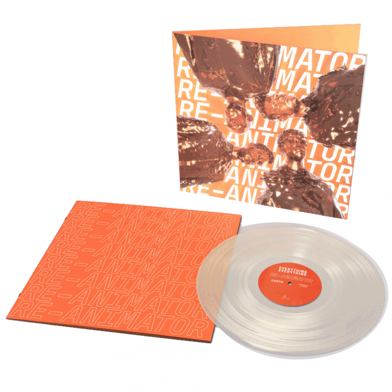 EVERYTHING EVERYTHING - Raw Data Feel (Clear Vinyl) - The Vinyl Store